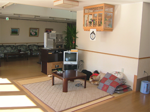 ラグの敷かれたリビング・共用部。テレビ台と観葉植物、クッションが配置されている